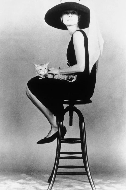 Audrey Hepburn and Hubert de Givenchy's friendship in 20 photos6