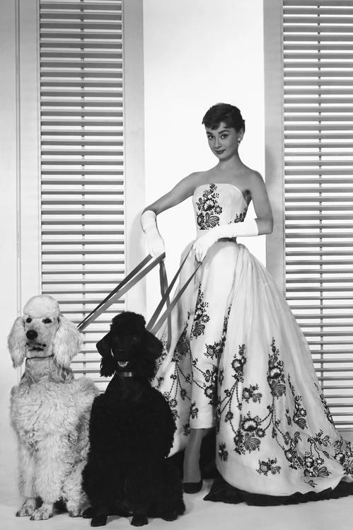 Audrey Hepburn and Hubert de Givenchy's friendship in 20 photos3