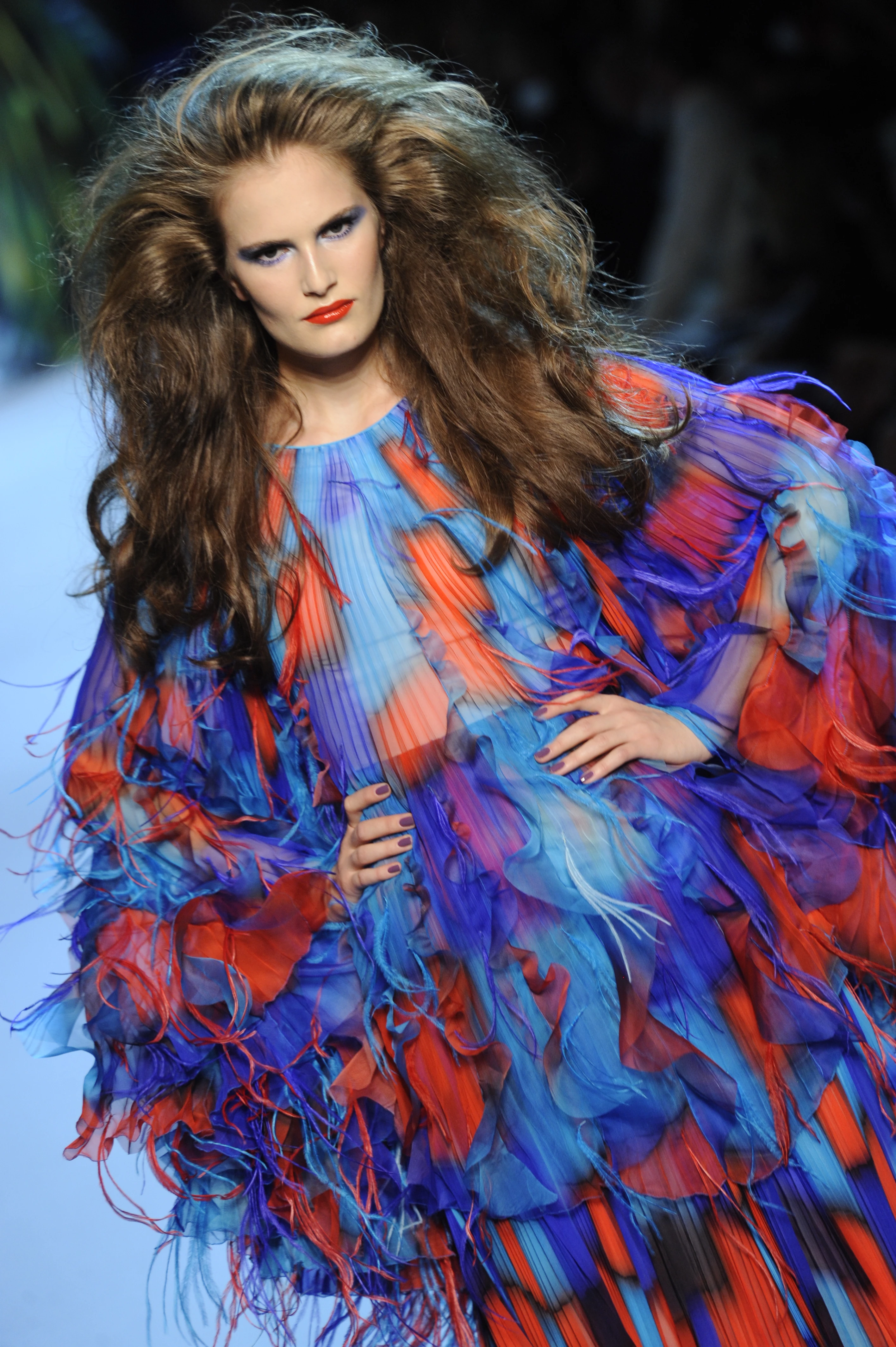 Christian Dior fall-winter 2011/121